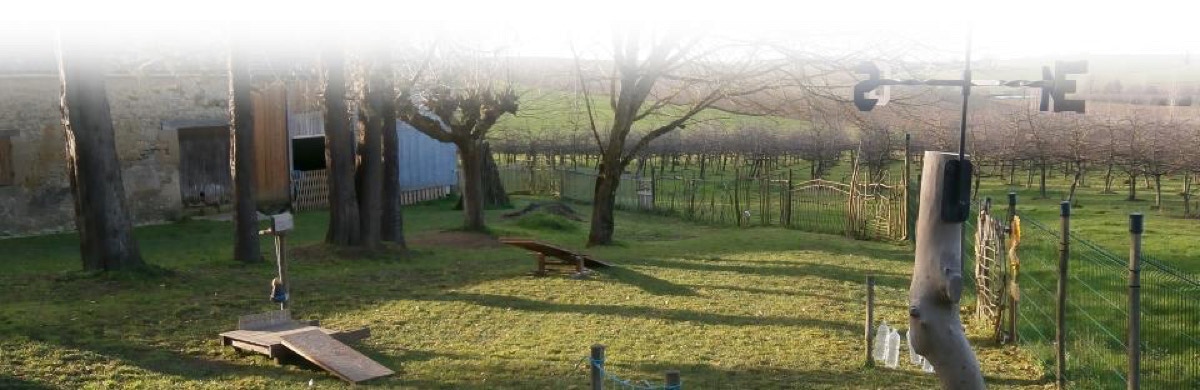 COMPORTEMENTALISTE : spécialiste en relation homme / chien 